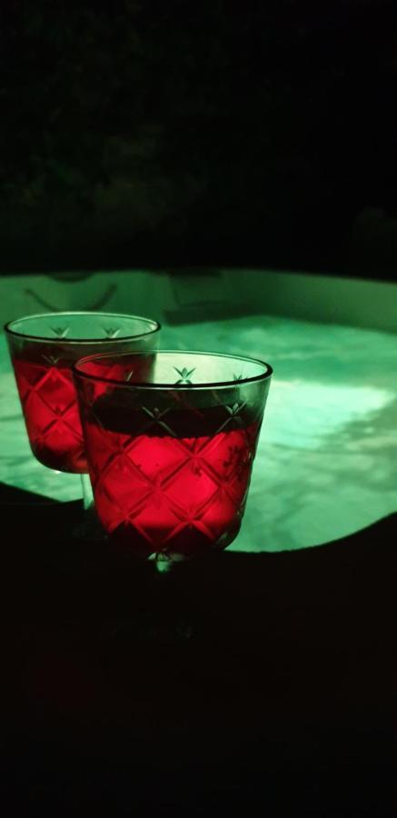 Maison De Maitre A Bram # Jacuzzi Ngoại thất bức ảnh